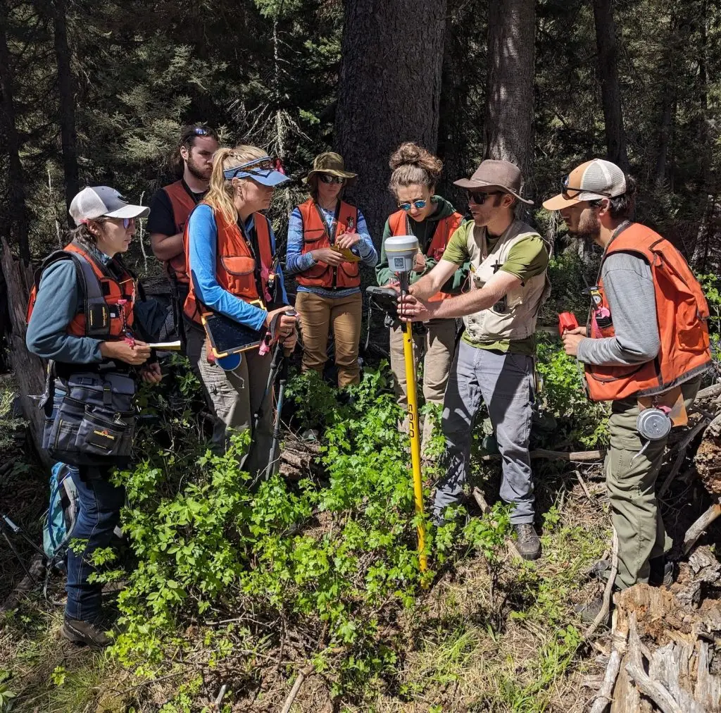 six people gather around an instructor holding a scientific instrument in the forest