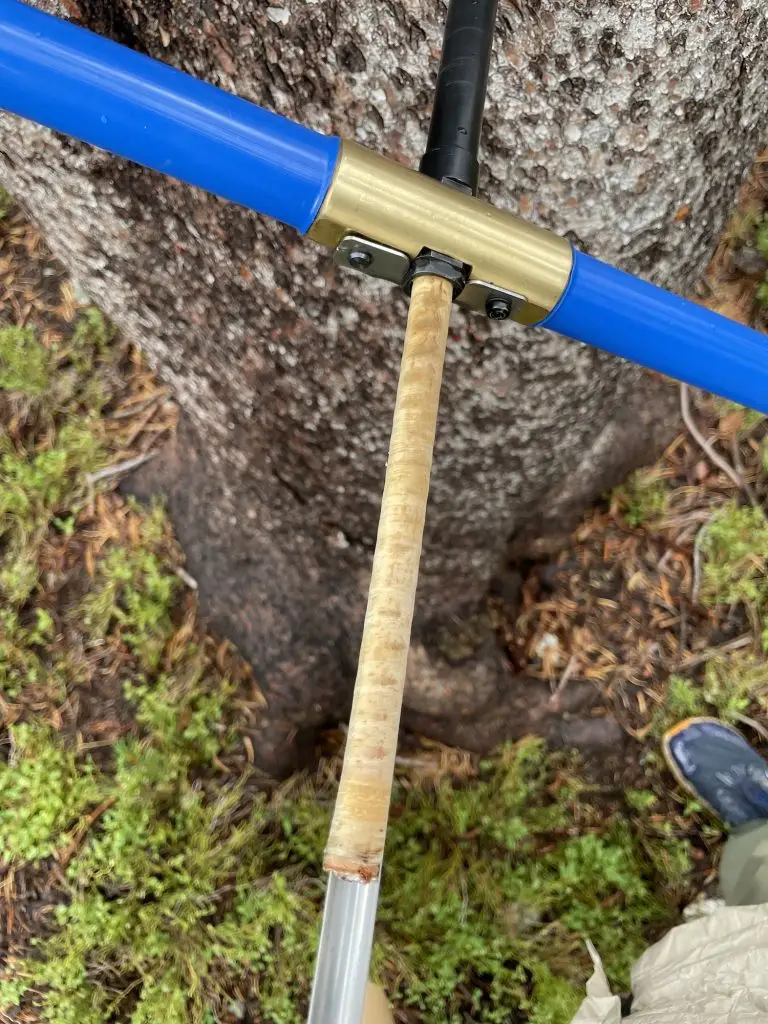 T-shaped boring tool is inserted into a tree trunk to extract a core