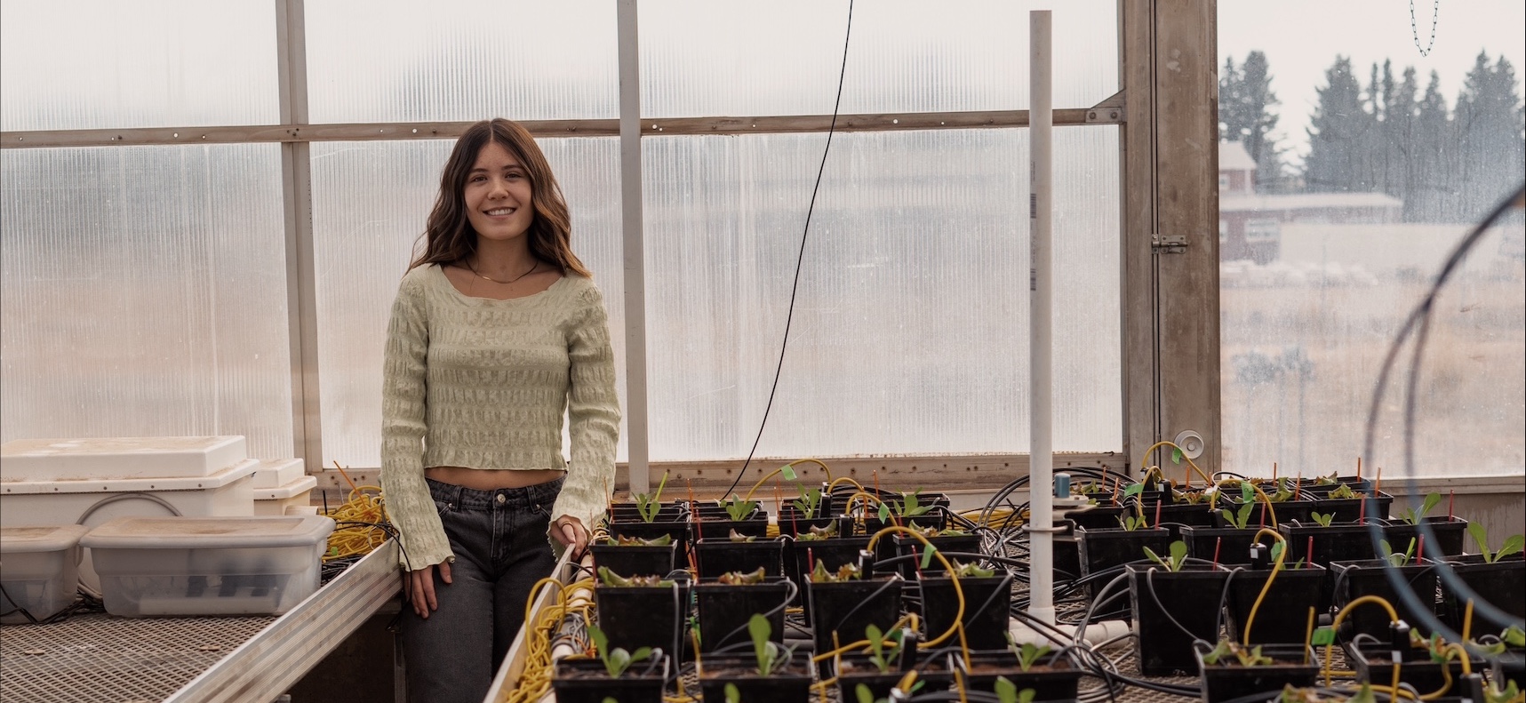Drea Hineman stands in a greenhouse next to trays of plants connected to an irrigation system