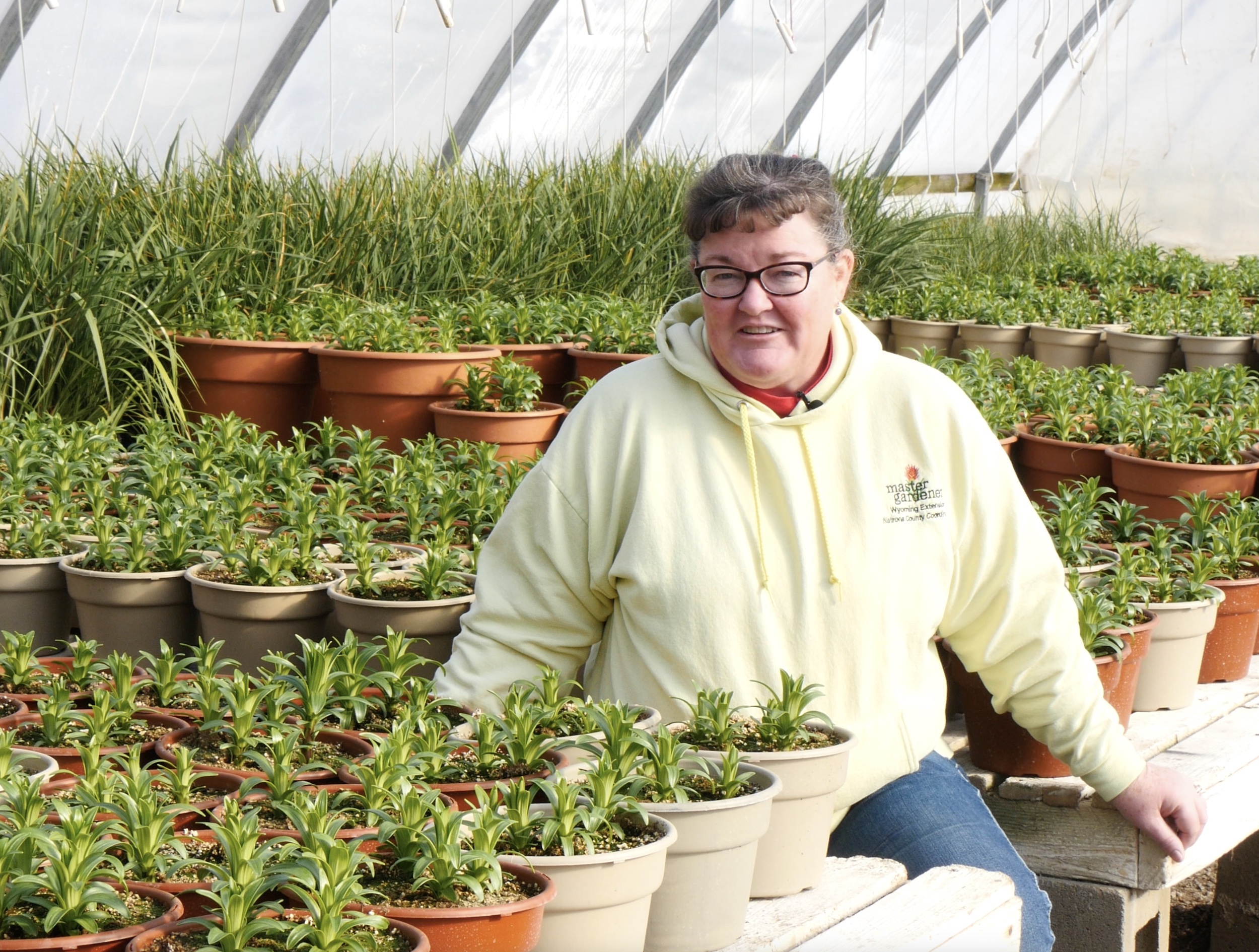 Donna Hoffman in a greenhouse surrounded by leafy green plants.