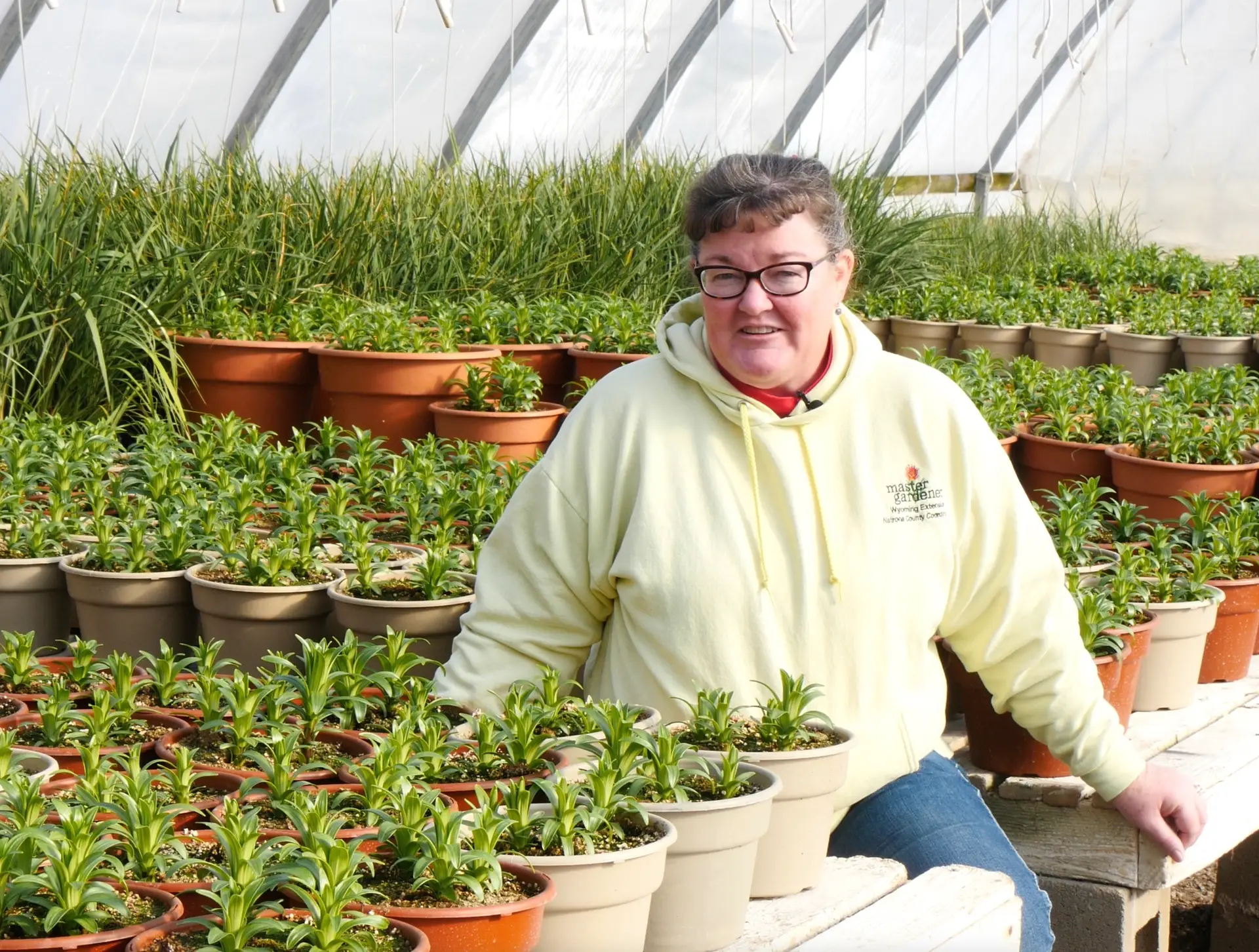 Donna Hoffman in a greenhouse surrounded by leafy green plants.