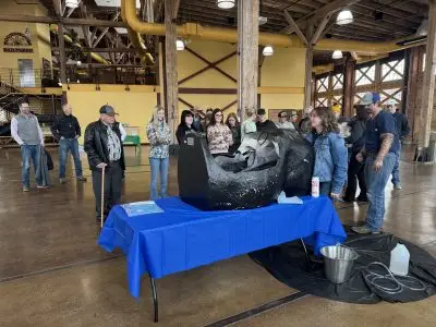 A group of people look at a model of a cow's torso.