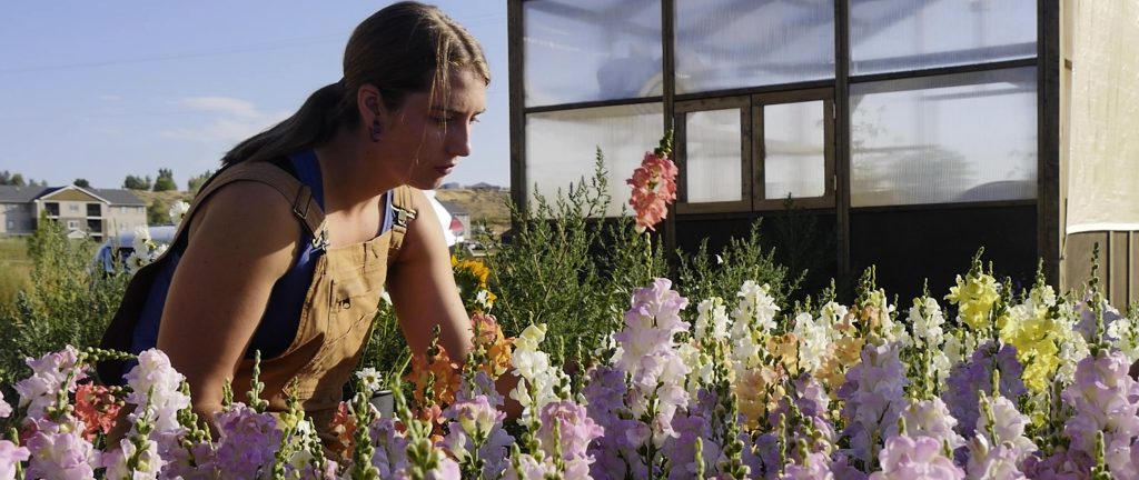 woman in a field of colorful flowers beside a greenhouse on a sunny summer day