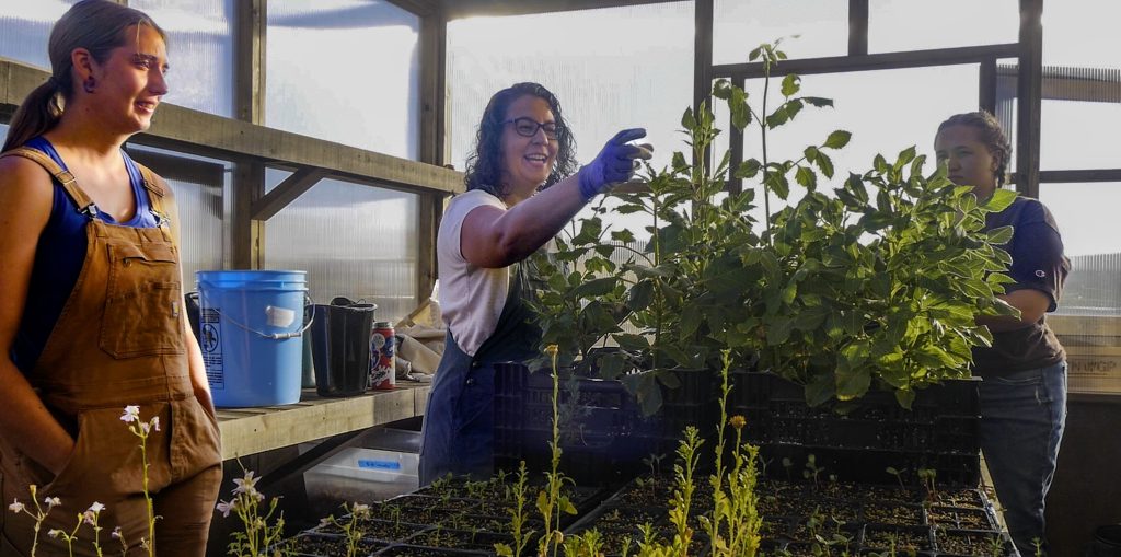 Emzie and Courtney look on as Teresa reaches toward the leaf of a green plant with a gloved hand