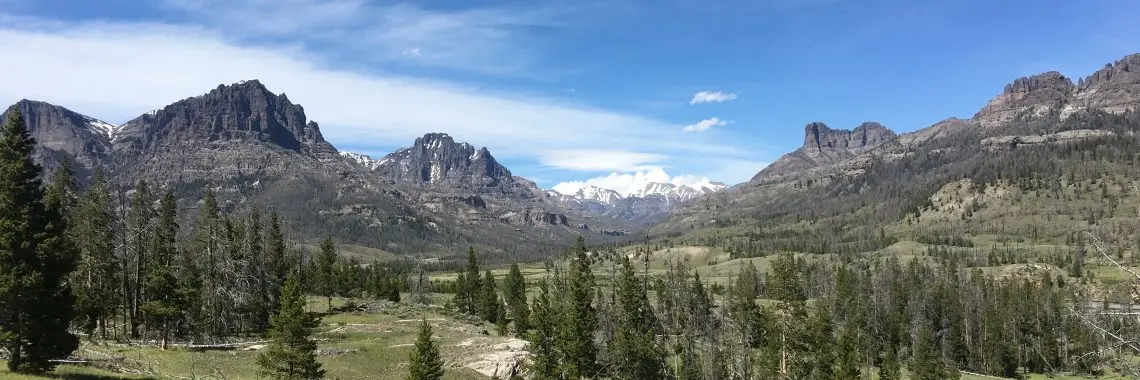 Mountain landscape with snow-capped peaks in the distance and gentler green slopes with pine trees, some living and some dead, in the foreground