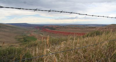 Barbed wire fence, yellowed grass, and brush on a canyon rim drop away to a green valley bordered with walls of red rock