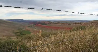 Barbed wire fence, yellowed grass, and brush on a canyon rim drop away to a green valley bordered with walls of red rock