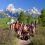UW Professors and Smithsonian Add Teton Site to Global Forest Monitoring Network