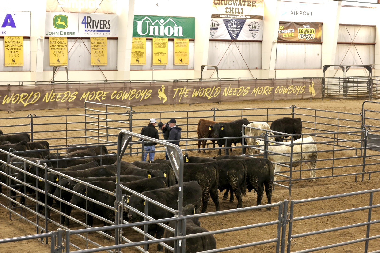 three students stand in a metal pen with a group of bulls in an arena with a dirt floor. The space is decorated with UW-branded banners as well as awards and sponsor banners.