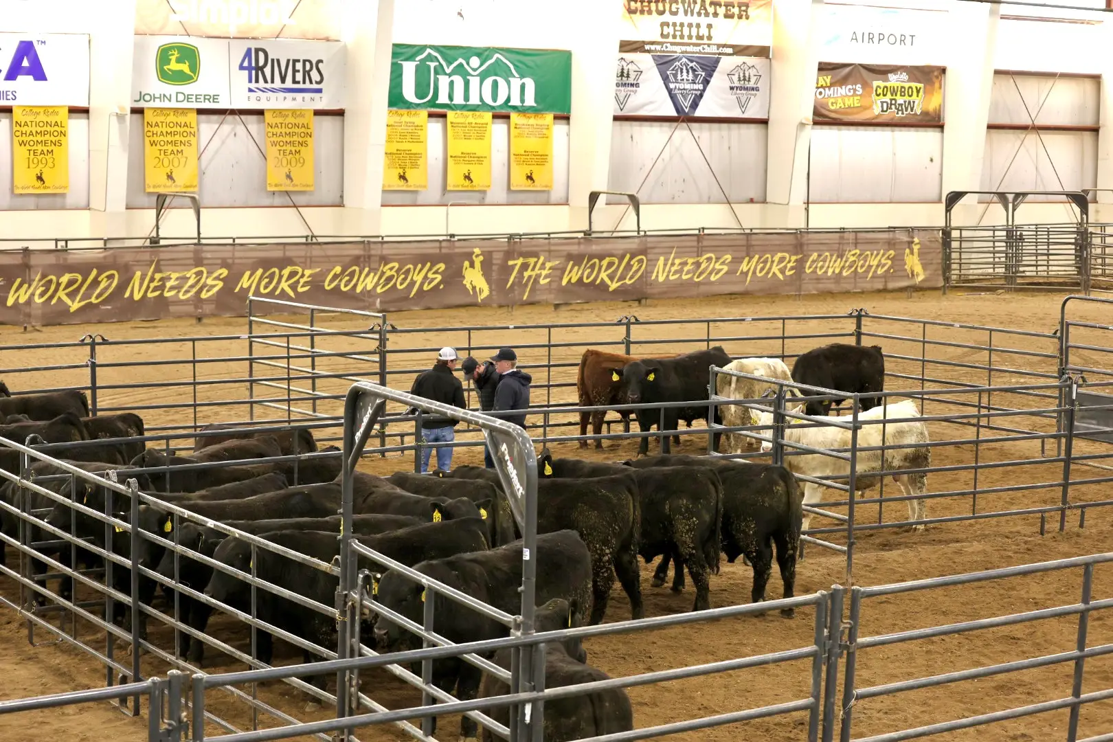 three students stand in a metal pen with a group of bulls in an arena with a dirt floor. The space is decorated with UW-branded banners as well as awards and sponsor banners.