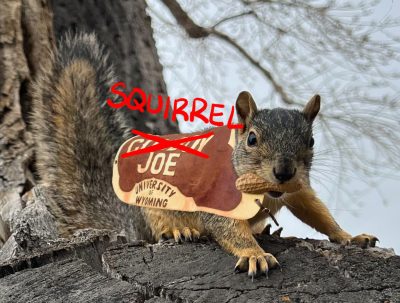 A squirrel "wearing" a Cowboy Joe saddle blanket, which has been altered to read "Squirrel Joe."