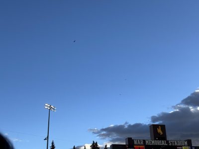 Vulture high in the sky.