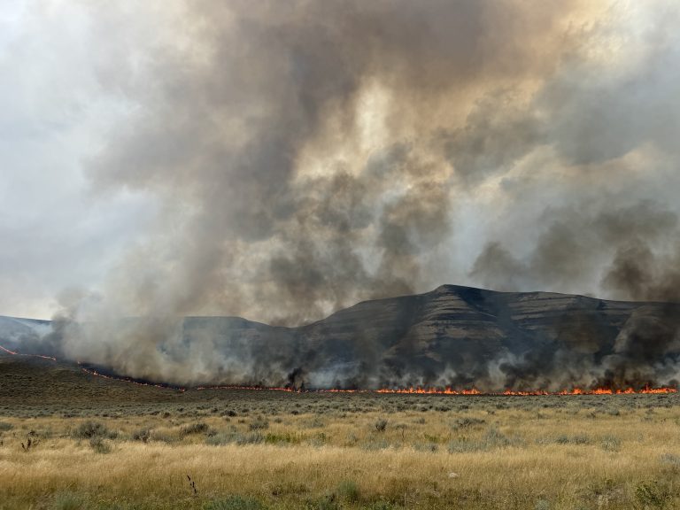 A long line of flames burns across dry grassland at the base of a ridge, sending thick gray and brown smoke into the sky during a wildfire.