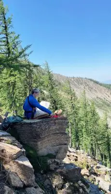 woman reads on a rock overlooking mountainous pine forest