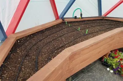 drip irrigation tubes set up in a wooden planter built into a geodesic dome greenhouse