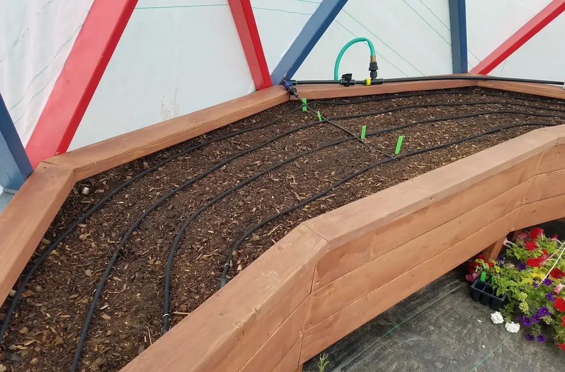 drip irrigation tubes set up in a wooden planter built into a geodesic dome greenhouse