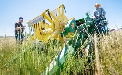 Tyler Jones drives a combine harvester.