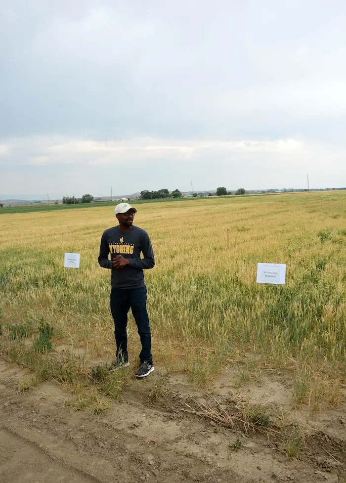 A presenter stands in a field; two placards placed in the field show different nitrogen rates.