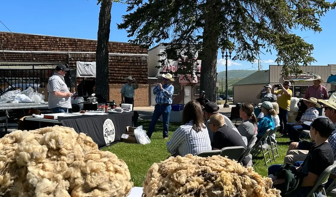 onlookers sit outdoors on folding chairs listening to presentation by two men standing beside a table with cooking supplies on top and a tablecloth labeled "American Lamb." Two fleeces sit on a table in the foreground.