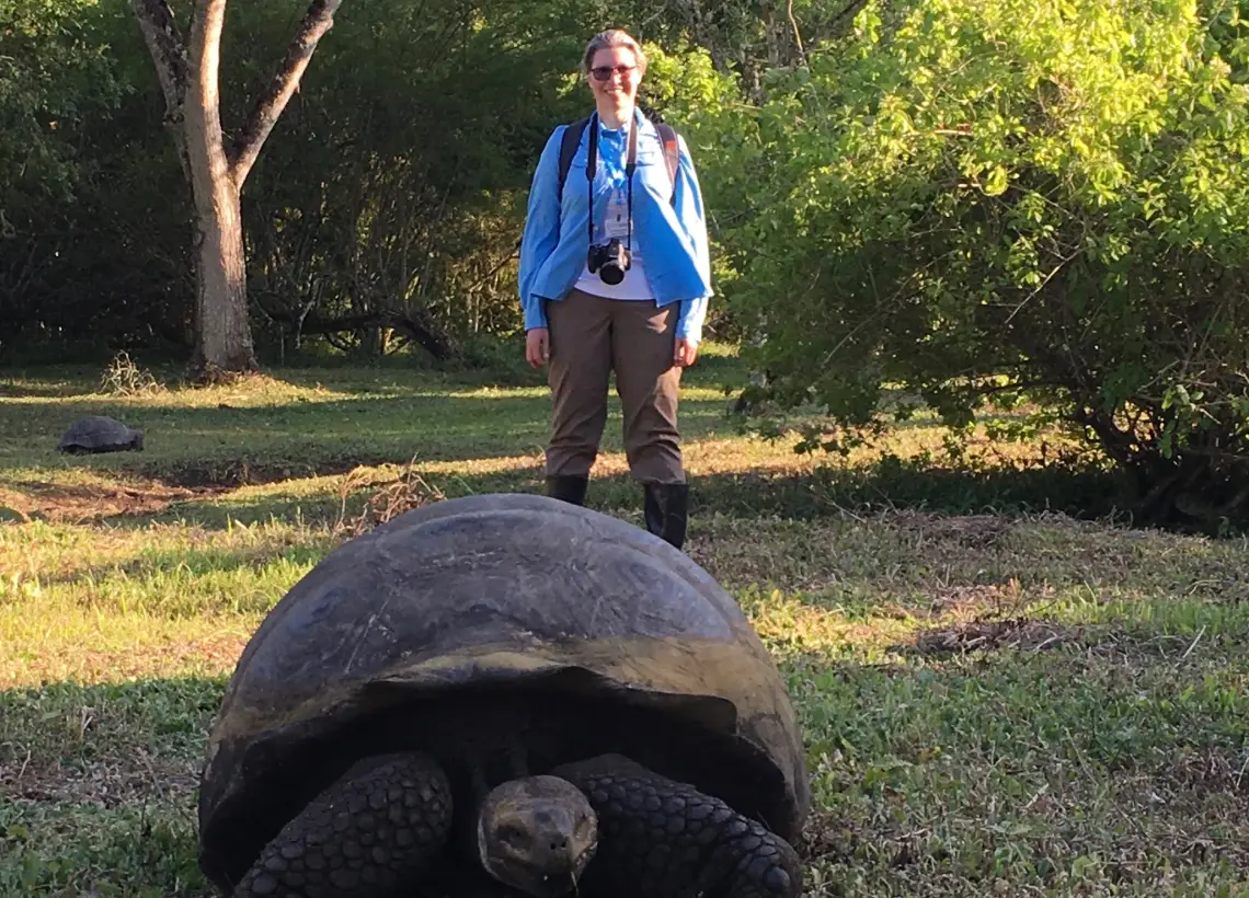 A woman with a camera stands behind a giant Galápagos tortoise in a wooded grassy area.