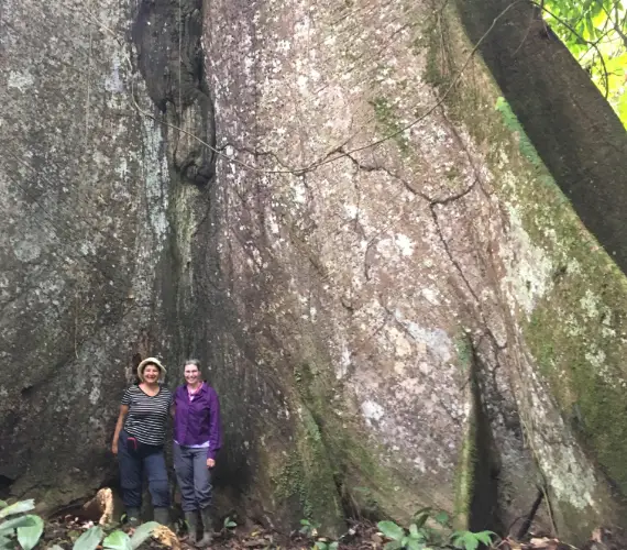 Two women stand at the base of an enormous, moss-covered Ceiba tree in an Amazon rainforest.