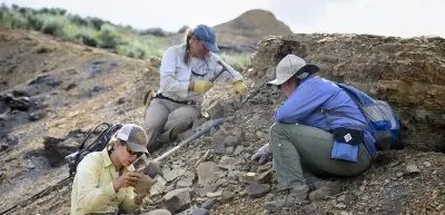Ellen Currano, Regan Dunn, and Kymbre Skersies examine fossils on a rocky hillside.