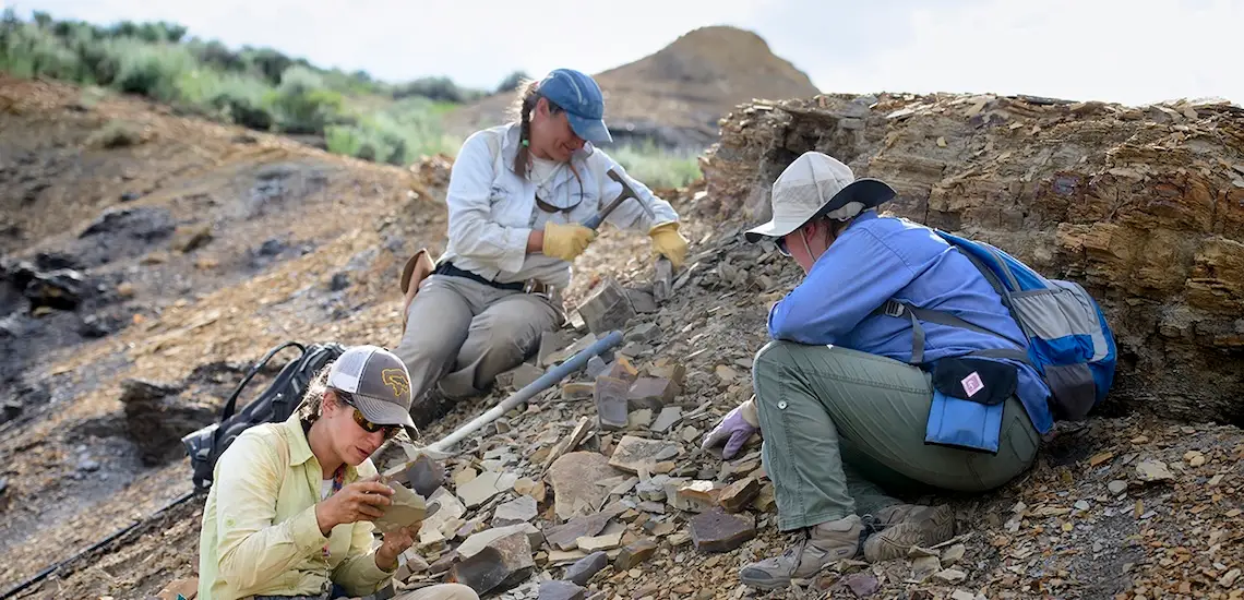 Ellen Currano, Regan Dunn, and Kymbre Skersies examine fossils on a rocky hillside.