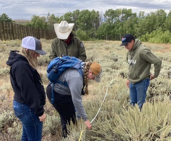 Three students and Ryan Amundson examine a measuring tape laid down in a sagebrush field.