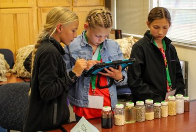 several youth participating in the livestock skillathon contest, two of whom are looking at a tablet, stand at a feed and feeding station with bottles of feed samples