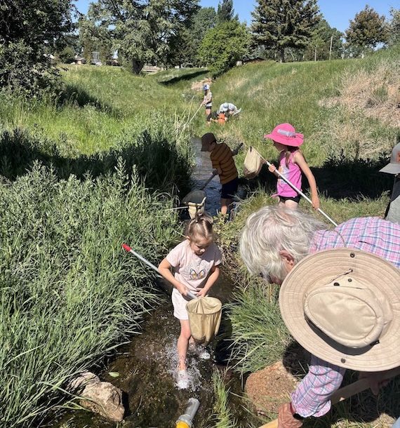 Children wade in a creek and look at dip nets full of muddy water.