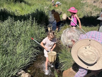 Children wade in a creek and look at dip nets full of muddy water.