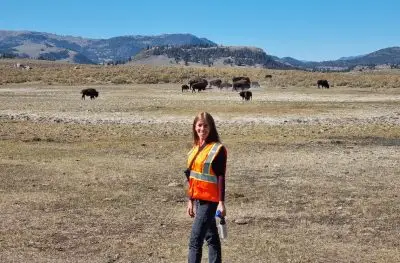 Woman wearing orange reflective vest stands in front of a group of bison in a field of yellow grass with mountains behind